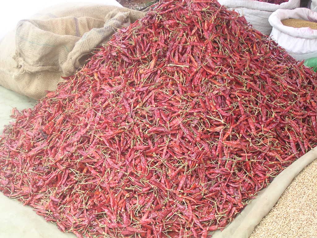 Peperoncini - Chilli